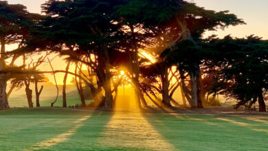Euro Golf Guide - The Ultimate Directory for Golf in Europe.