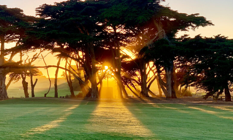 Euro Golf Guide - The Ultimate Directory for Golf in Europe.